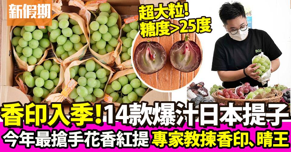 日本提子品種／價錢比拼！Top 14 香印、晴王邊款好食 新品種Queen Nina、雄寶有咩特色？專家教路日本提子點揀｜果欄情報 | 飲食 | 新假期