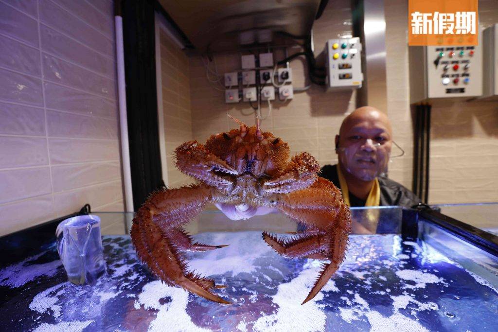 DONKI迴轉壽司店 例如毛蟹、龍蝦等，客人下單後會即切上碟。