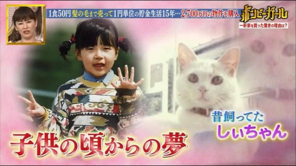 慳錢 田母神咲表示非常感激當年有小貓的陪伴，所以希望盡自己所能協助其他流浪貓。