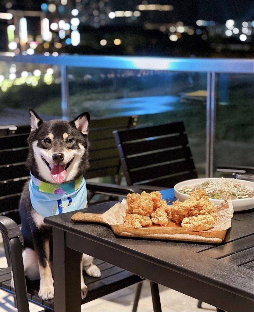 餐廳設有露天坐位，也是寵物友善。（圖片來源：shiba.pogor）