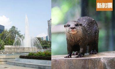 超萌水獺進駐香港動植物公園！免費睇餵食Show＋全新觀鳥台＋150周年活動率先睇