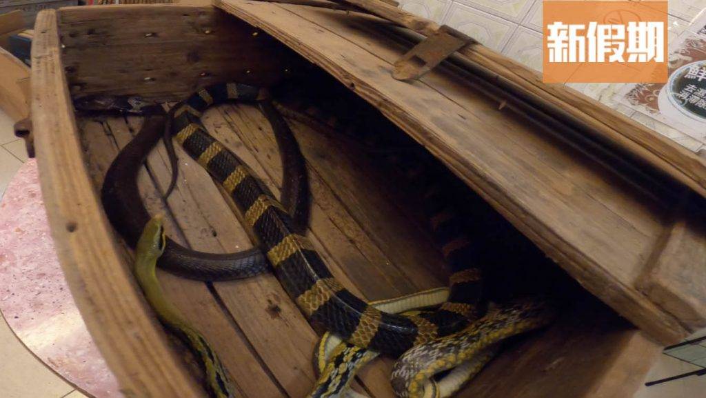 以前的蛇舖會將蛇養在木箱內，確保有它們有一個寧靜的空間。（圖片來源：新假期編輯部）