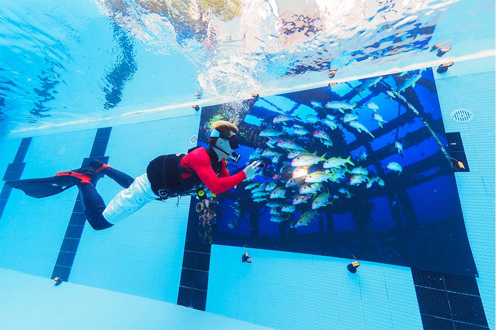 潛行台灣 除咗可以一睹港台兩地水下攝影師作品，潛客同時可以學習使用潛水相機學習微距拍攝