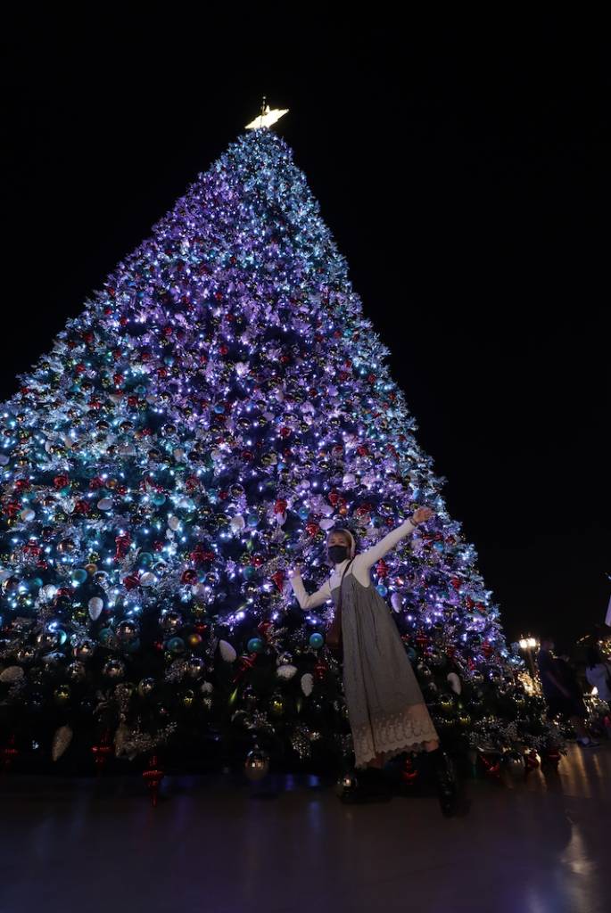 聖誕好去處2021 低抄便能拍下整棵聖誕樹。