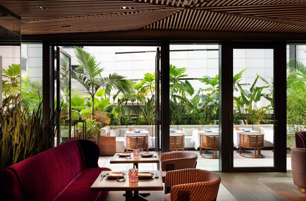 香港酒吧 酒吧餐廳推介｜環境一片綠然，感覺森系打卡。