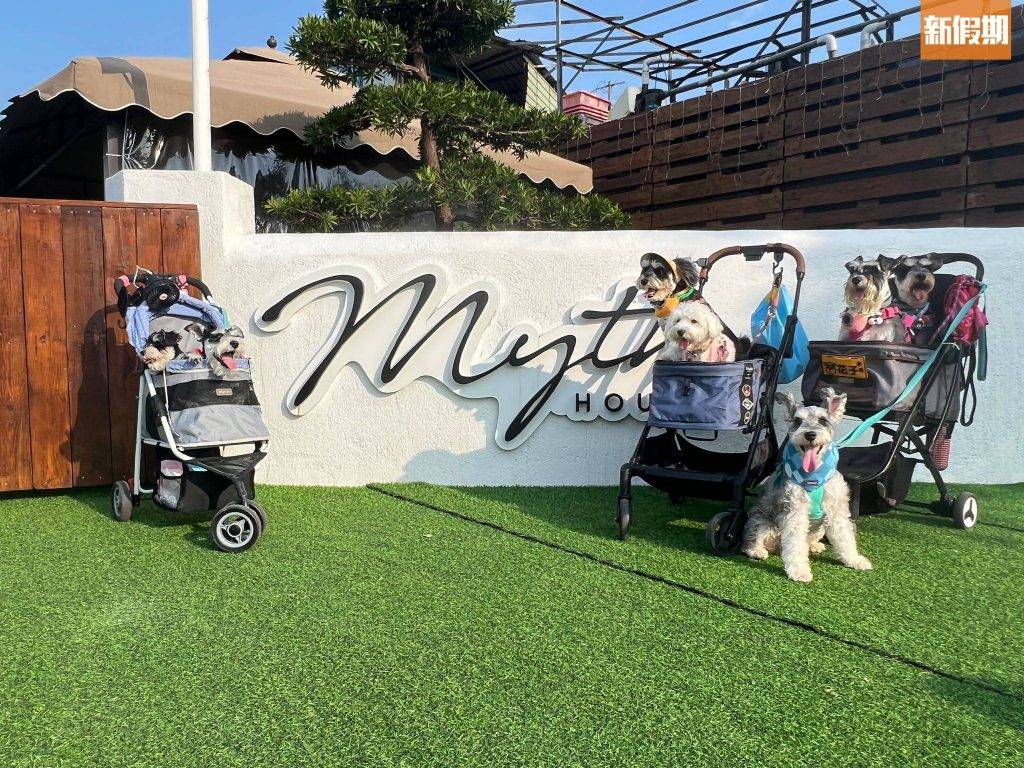 Myth House 客人可以帶小狗在陽光下打卡！