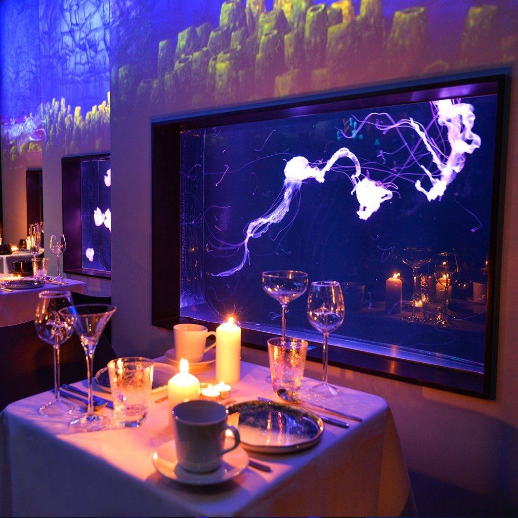 周末好去處 拍拖好去處 館內的CubeO Café，一邊嘆浪漫晚餐，一邊近距離觀賞水母。