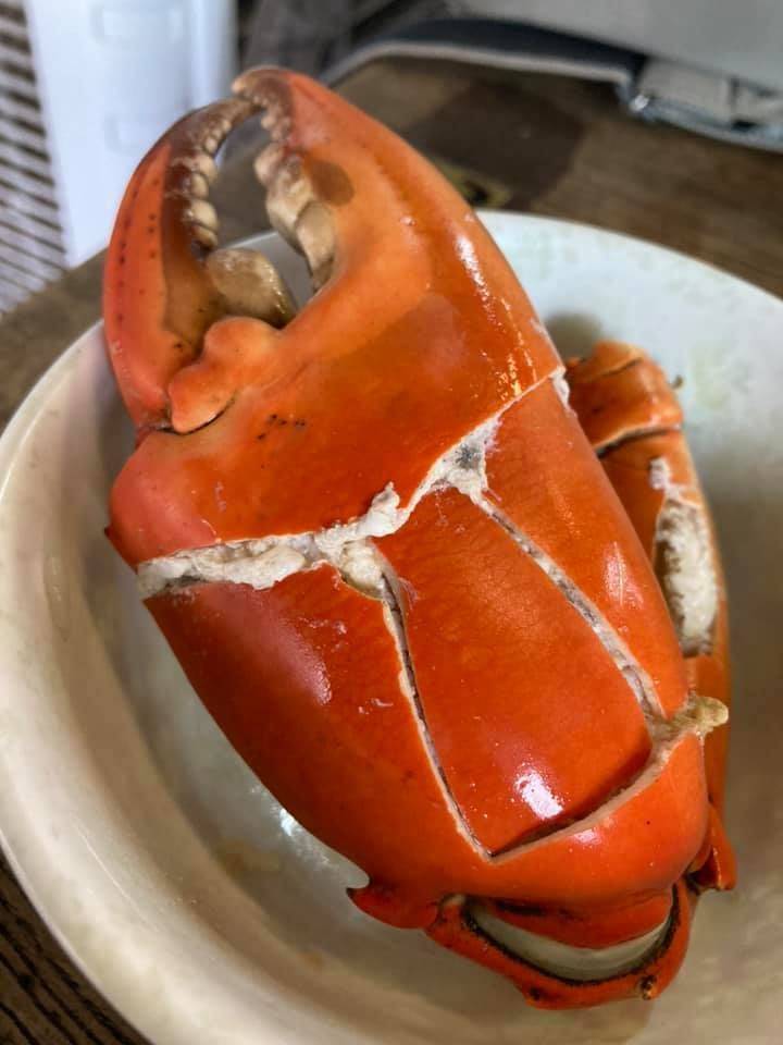 餐廳好細心地把蟹鉗砸碎，夠方便！（圖片來源：Facebook＠Simon Kok授權圖片）
