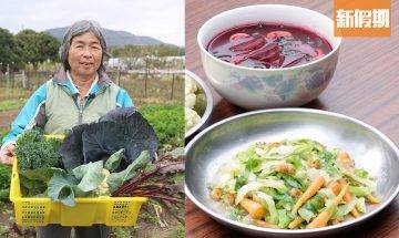 香港蔬菜種類 本地農夫教你認識9個蔬菜冷知識！如何延長有機菜保存期＋洗菜除農藥＋3款蔬菜食譜｜師傅調教你