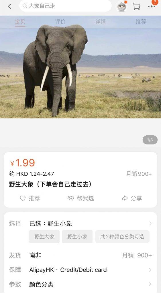 淘寶 淘寶熱賣野生大象