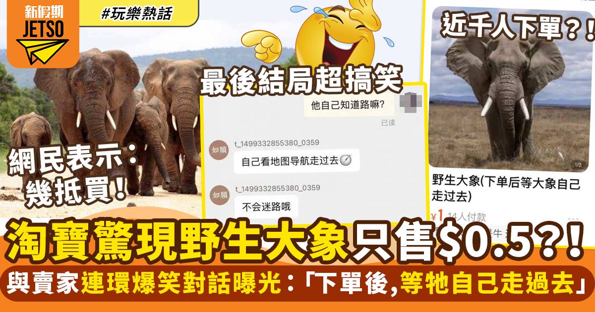 淘寶熱賣$0.5野生大象 賣家標明：下單等牠自己走過去！ ｜玩樂熱話
