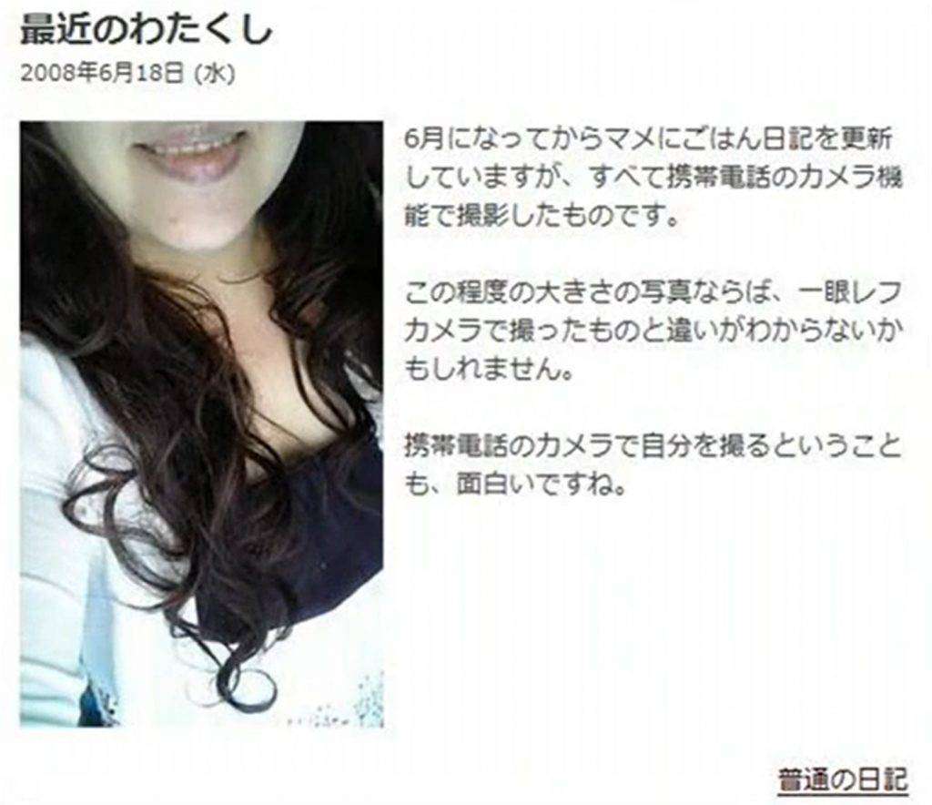平成毒婦 毒婦 木嶋佳苗用於交友網站上的照片。