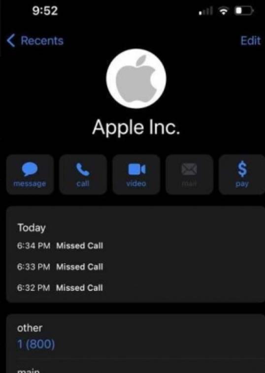 Apple 怎料多梅尼克完成驗證碼步驟後，對方突然收線。
