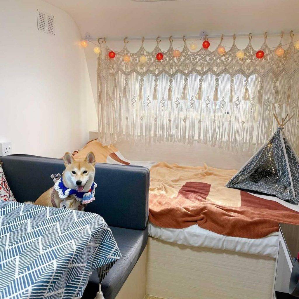 露營車 寵物也可以入住！