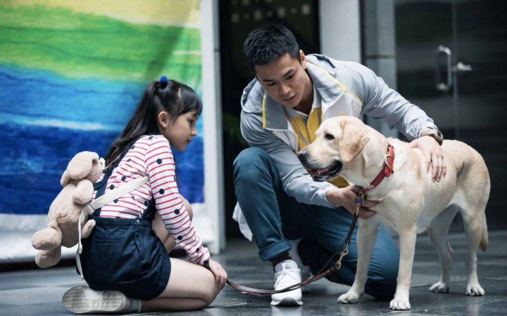 導盲犬 懂事的小朋友最好了！大家見到導盲犬也應該要尊重！