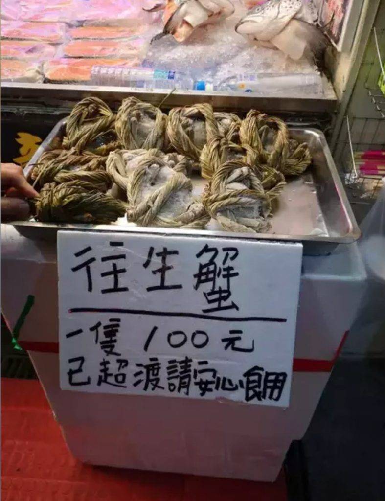 仰泳鱸魚 台灣店主是人才，真的好幽默。