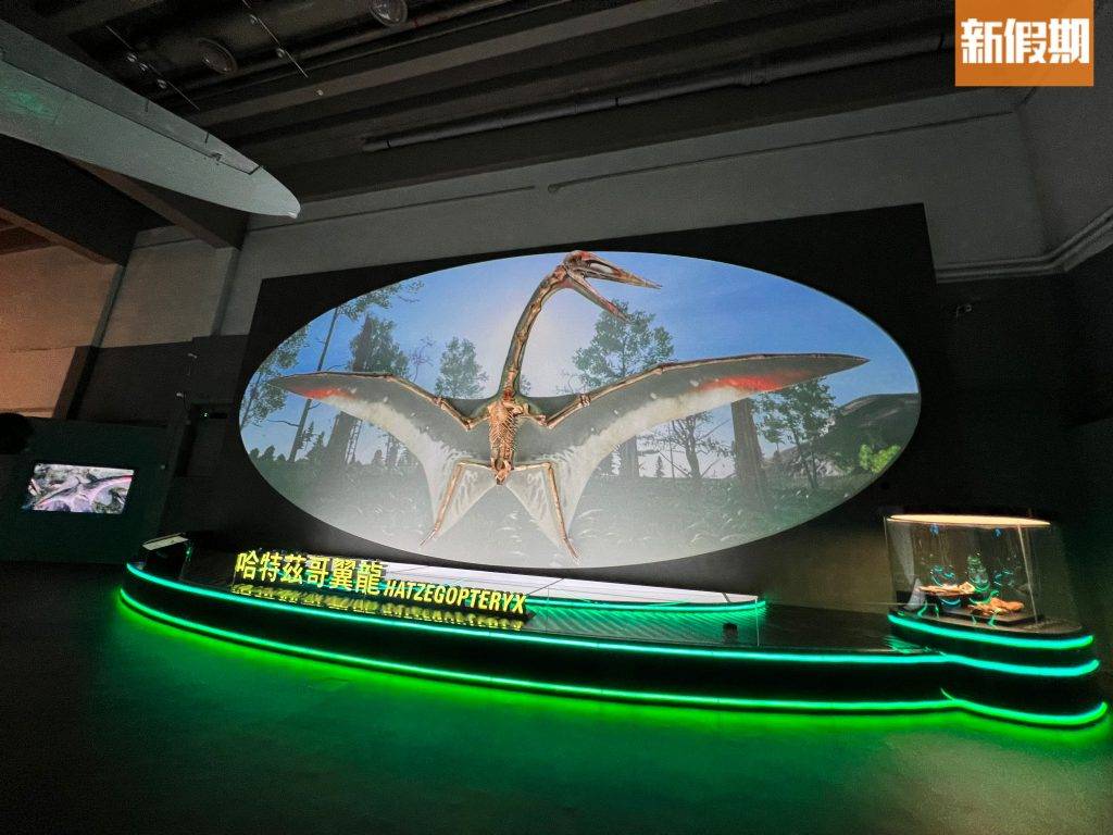 尖沙咀一日遊 科學館恐龍 恐龍展 圖片為哈特茲哥翼龍的原大復原骨架，館方特別應用光雕投影技術，重構翼龍的原貌。