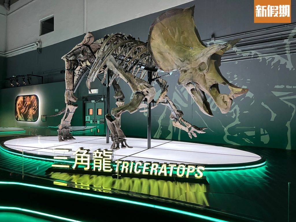 香港博物館 科學館恐龍 恐龍展 三角龍