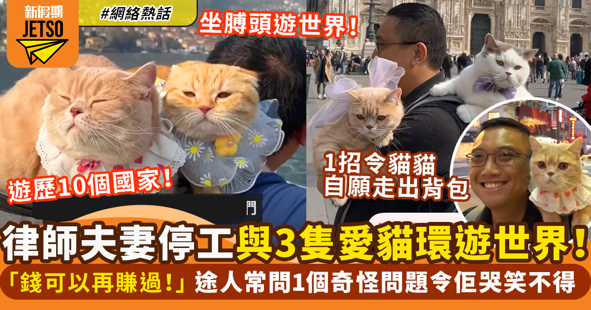 律師夫婦停工帶3隻貓貓環遊世界！坐喺膊頭一起遊歷10個國家｜網絡熱話