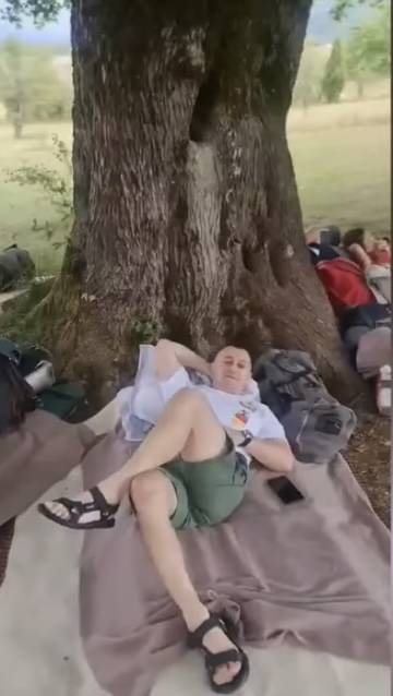 躺平 比賽在一棵百年楓樹下進行，參加者必須躺下不能起身，「躺平」時間最長的參加者就是贏家