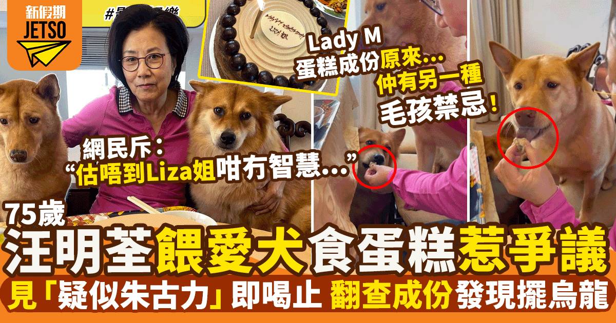 75歲阿姐汪明荃餵愛犬食Lady M蛋糕惹爭議：愛狗嘅人都應該知道唔食得