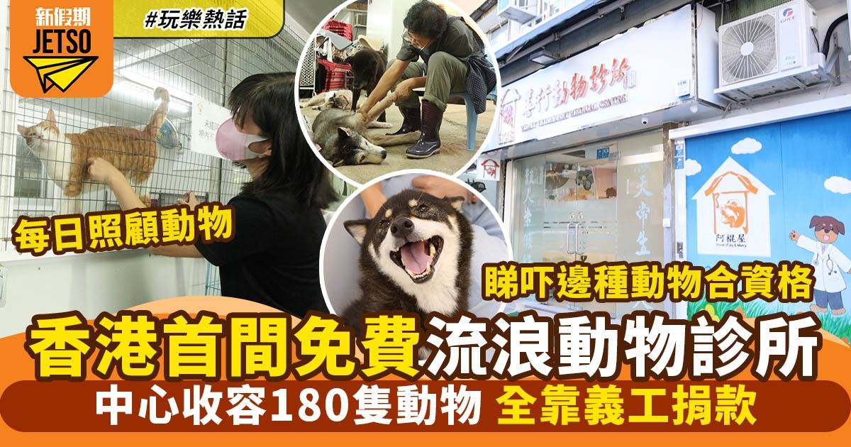 香港首間免費流浪動物診所 阿棍屋收容180隻動物「冇錢就冇生存權利嗎？」