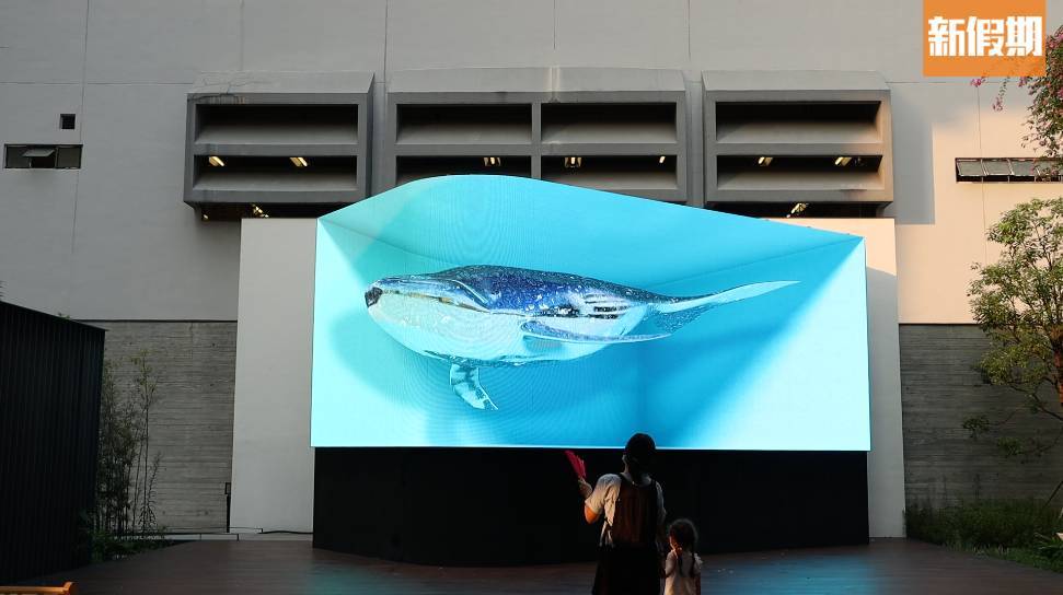 炮台山 3D立體藍鯨展覽