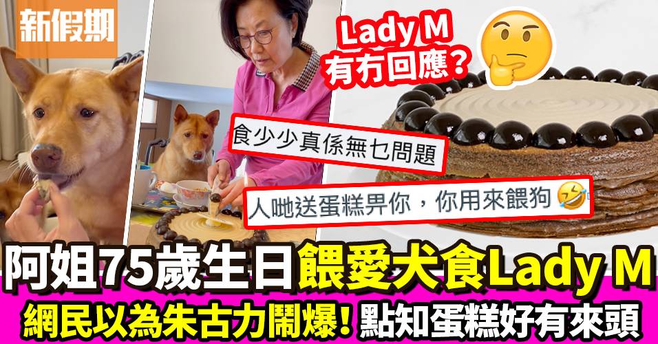 阿姐汪明荃75歲生日 餵愛犬食Lady M蛋糕 網民：狗仔唔食得朱古力 ｜飲食熱話