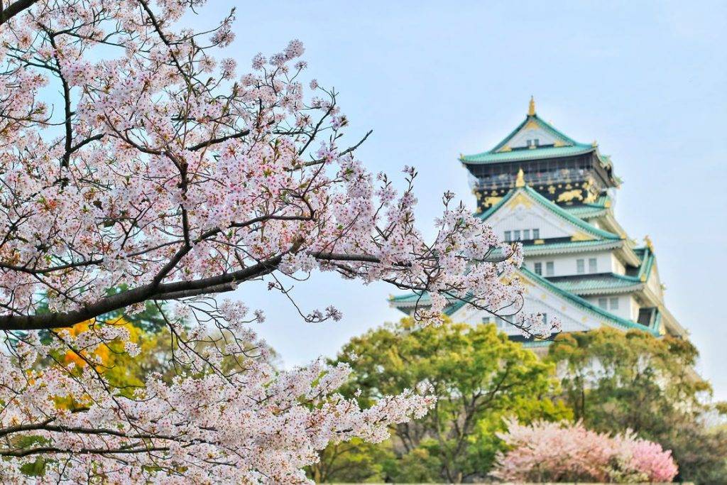 2023公眾假期 可去日本睇櫻花！