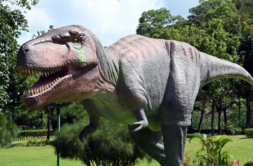 巨型恐龍 恐龍 由即日起至12月30日，康文署會在4大地點展出兩具1：1大型機動恐龍裝置。