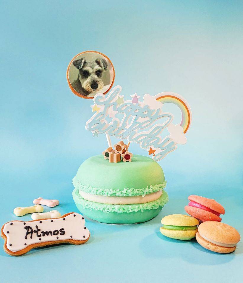 寵物蛋糕 色彩繽紛的馬卡龍蛋糕，更可按個人喜好把寵物的萌樣打印在曲奇上作裝飾。