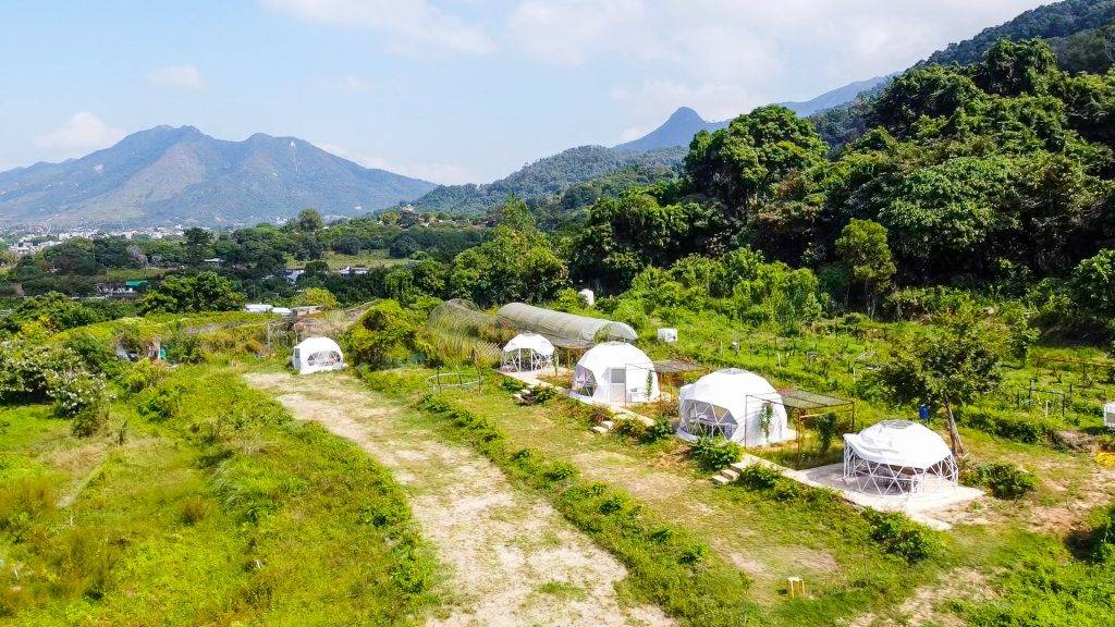 Glamping香港 牧緣田里 露營 被綠色包圍著，感覺去了台灣郊外！