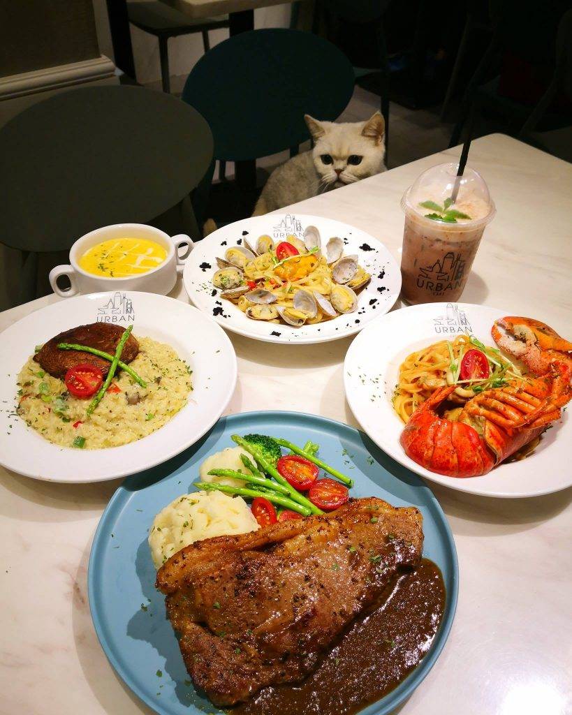 貓Cafe 觀塘Cafe｜Urban Cafe位於觀塘及旺角的樓上店，但一樣吸引不少港人到訪，食物分別有意粉類、扒類等。
