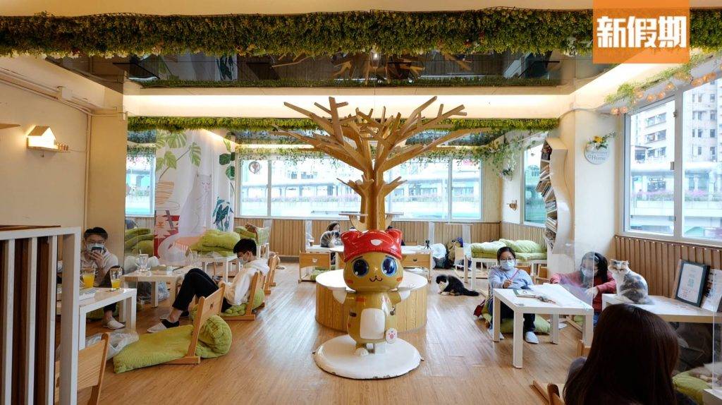 貓Cafe 貓Cafe｜環境cozy，佔地1,300呎。