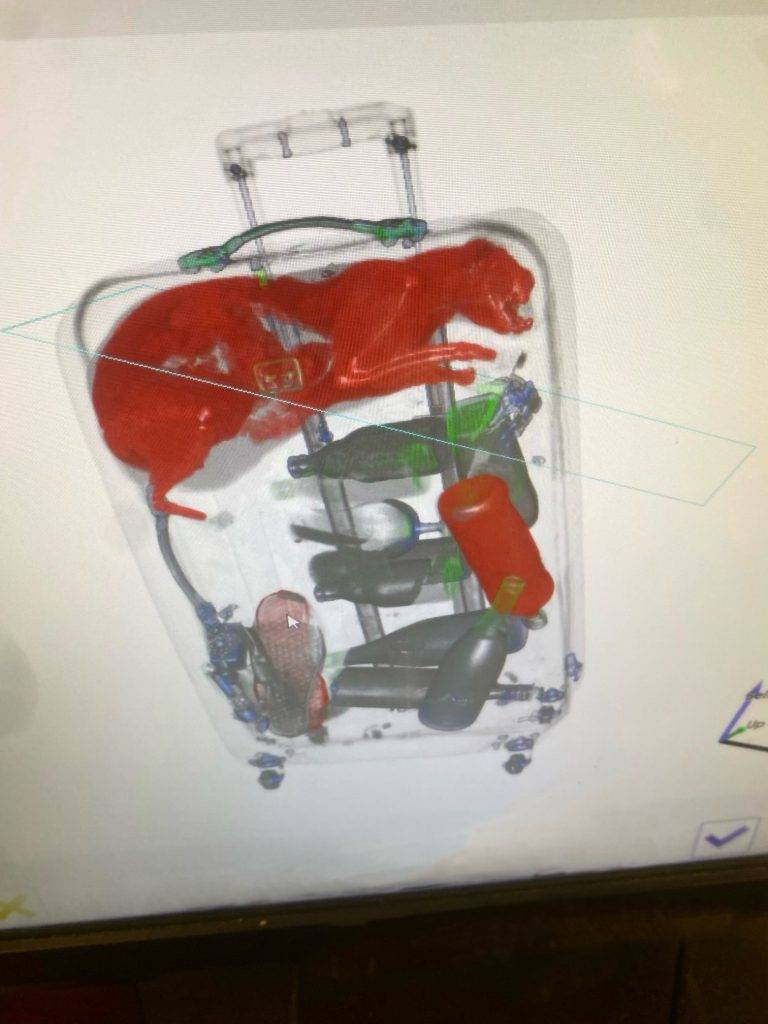 行李 安檢人員在進行行李檢查時，從X光機畫面中看見行李箱內有一隻貓的形狀