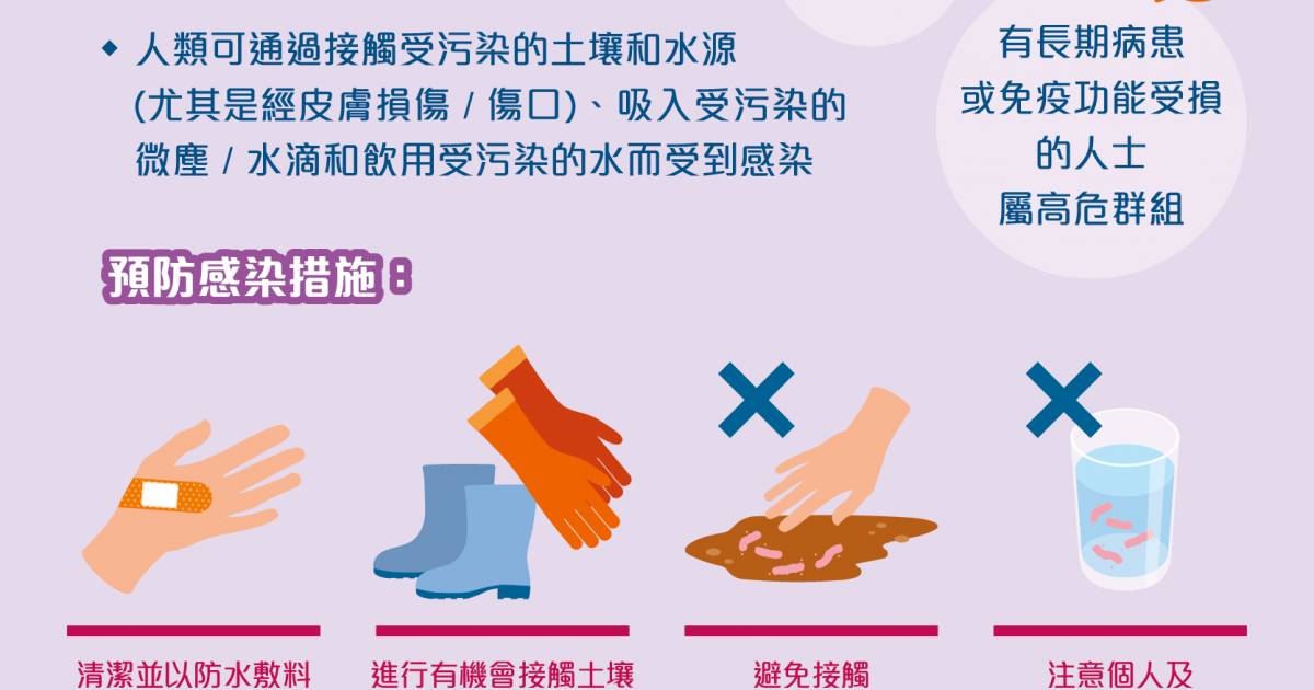 類鼻疽是什麼？香港36宗個案！8大病徵/傳播途徑/死亡率高達75%｜好生活百科