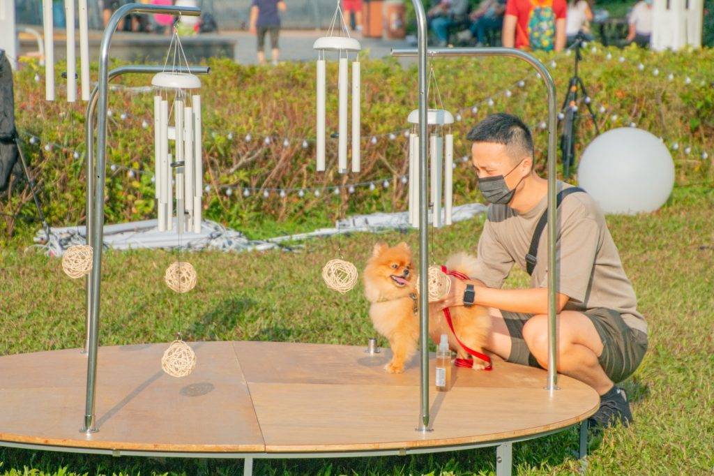 互動藝術裝置 《狗狗的植物朋友》於東岸公園及啟德車站廣場展出