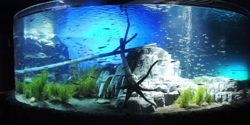 北海道水族館2022 日本旅遊