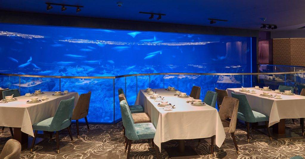 海洋公園餐廳 海洋公園餐廳｜你可以在海龍王餐廳一邊享受美食，一邊看著魚兒游來游去。