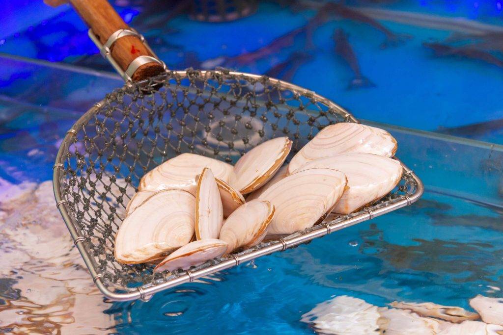 海鮮 露天餐廳2023｜場內亦設4.5米長的海鮮缸可供客人任捉海鮮，海鮮大大隻，份量十足！