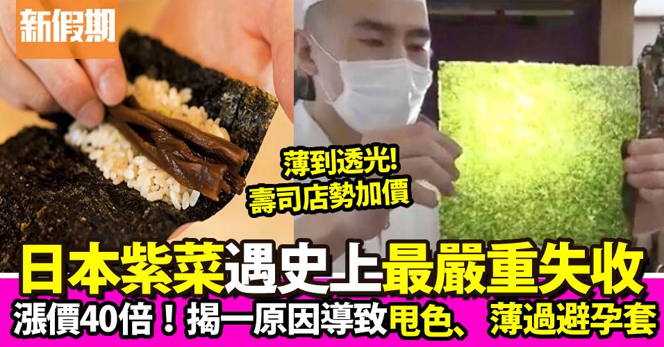 日本紫菜遇「最嚴重失收」1原因導致甩色、薄過避孕套！壽司店成本大增20%
