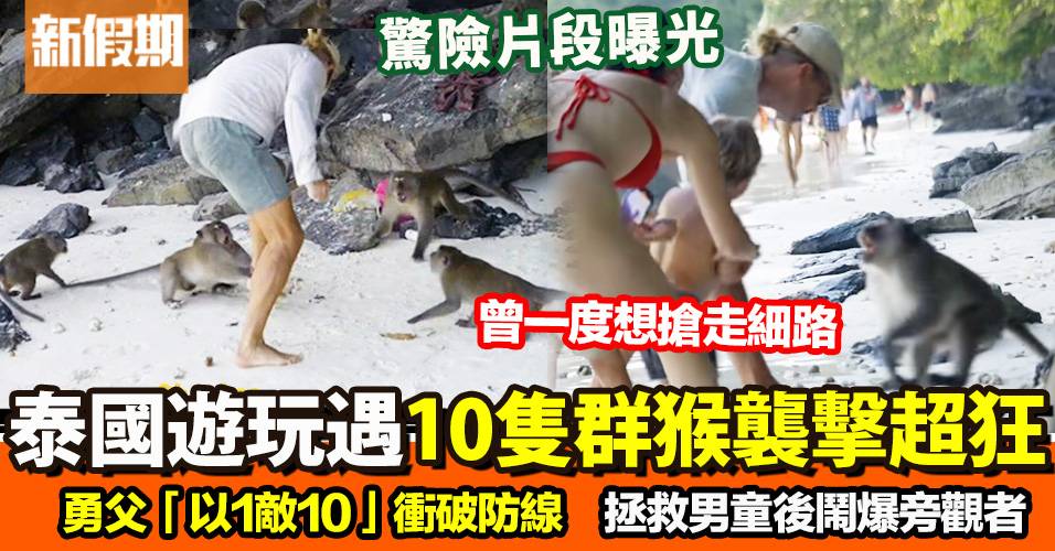 5歲男童泰國海灘遭群猴突襲　勇父「以1打10」徒手對戰　終XX流血收場