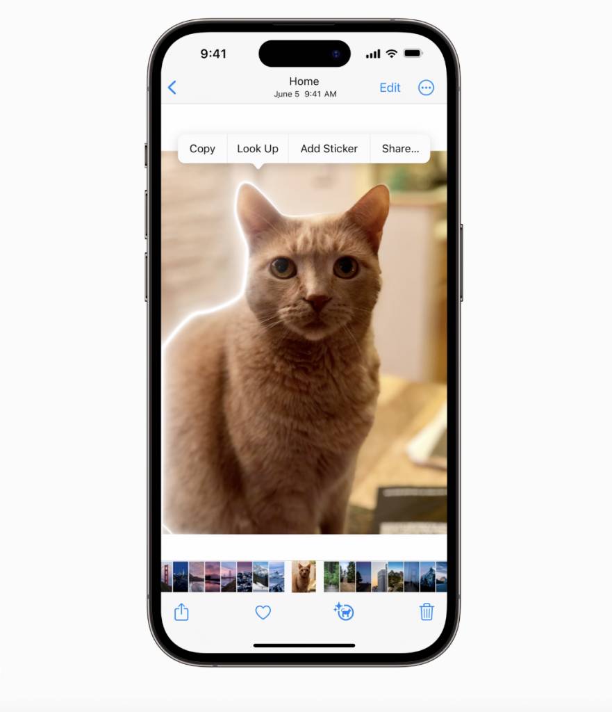 iOS17新功能 iPhone用家可以從相片中擷取圖片主體製作Sticker