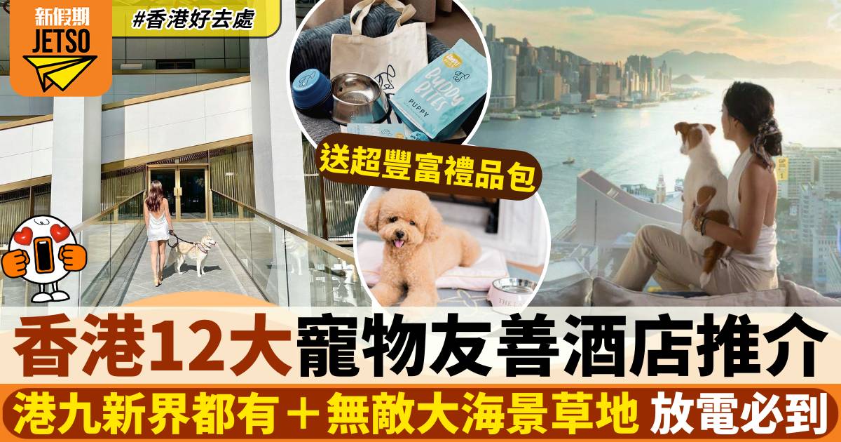 寵物友善酒店2024｜香港11大Pet Friendly酒店推介 Dogcation必到