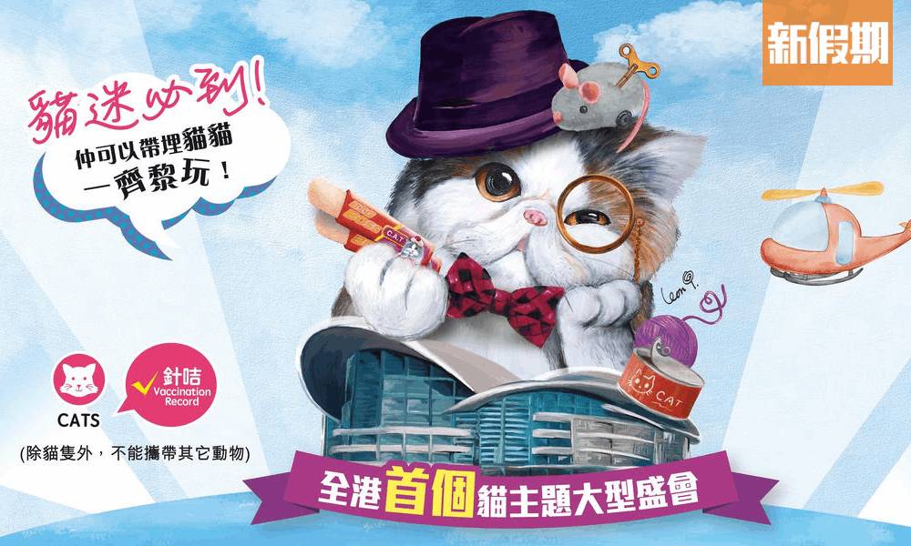 香港貓迷博覽會8月開幕！一連3日：本地品牌貓貓用品＋主子打卡位