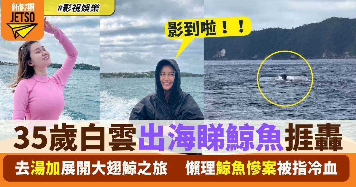 35歲白雲去湯加旅行出海睇鯨魚 被指懶理香港鯨魚慘案捱轟