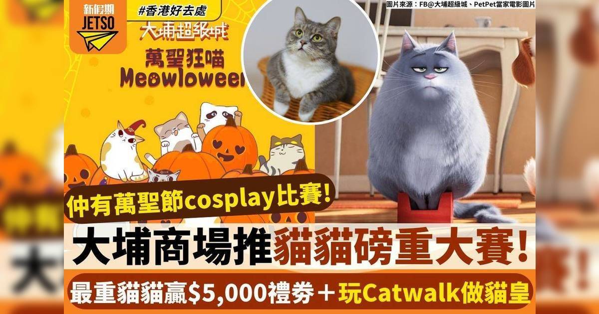 大埔商場推貓貓磅重大賽！最重貓貓贏$5,000禮券＋玩Catwalk做貓皇