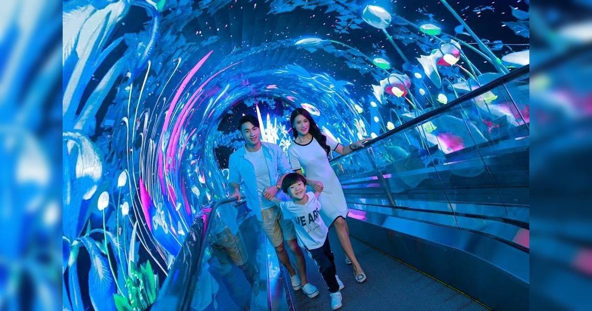 廣州正佳極地海洋世界 360度海㡳隧道/ 極地海洋生物/ 美人魚表演