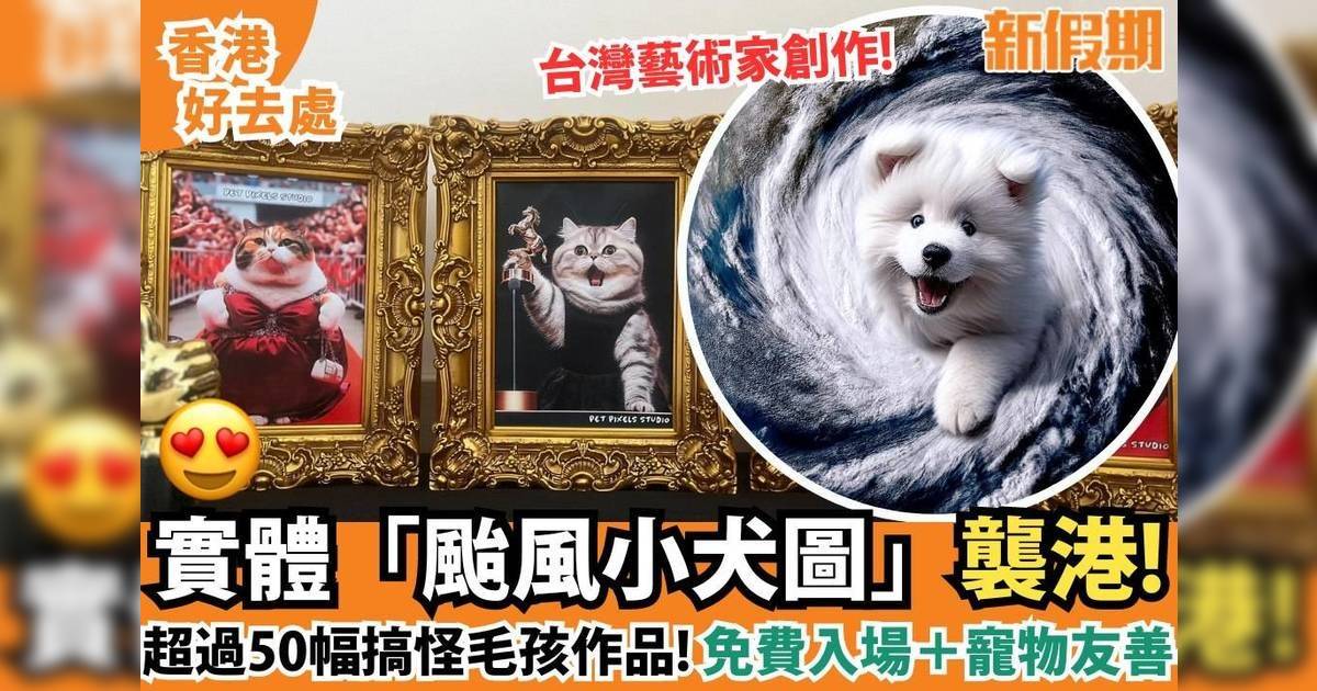 實體「颱風小犬圖」襲港！超過50幅搞怪毛孩作品！免費入場＋寵物友善