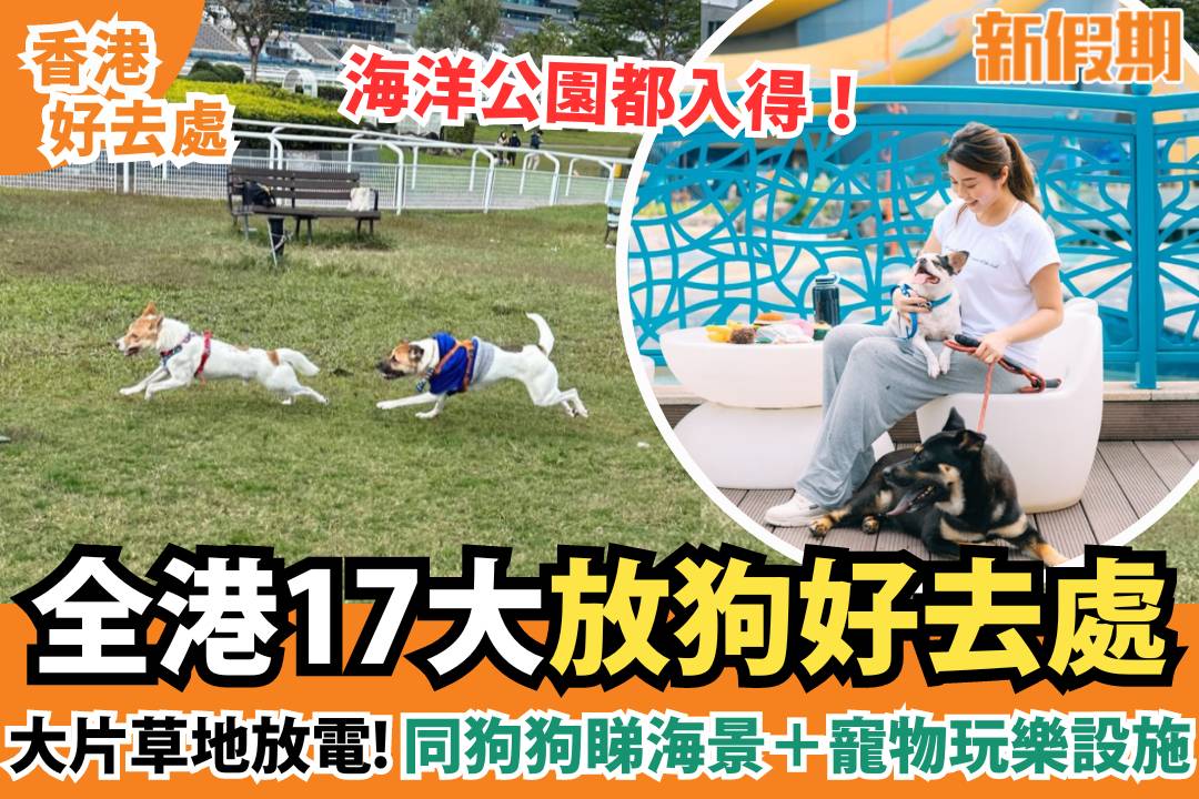 放狗好去處2026|落雨放狗都得 17大全港室內室外地點推介 屯門/元朗/九龍